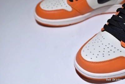 Reverse Shattered - Retro Jordan Backboard Durable 555088-113 1 321 0824